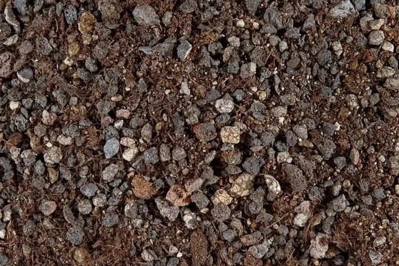 Nahaufnahme von Blumenerde